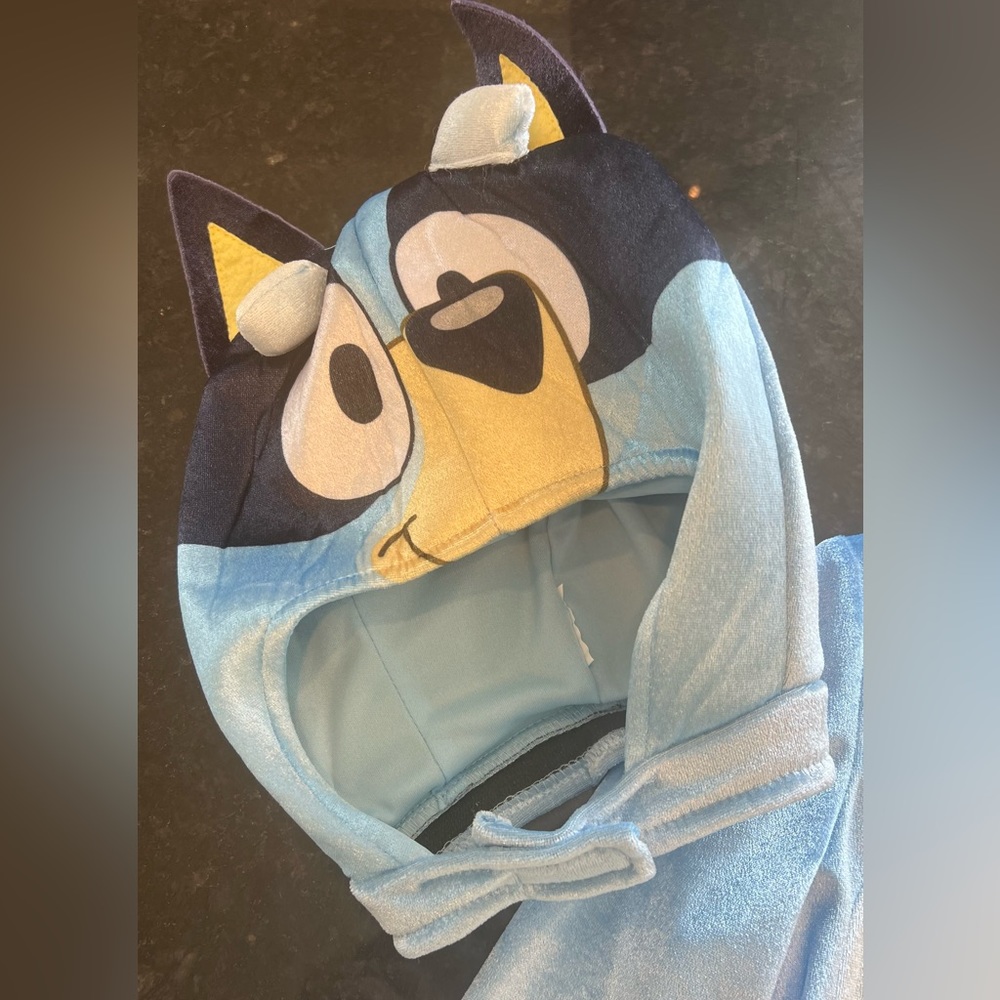 Kids Bluey Costume
